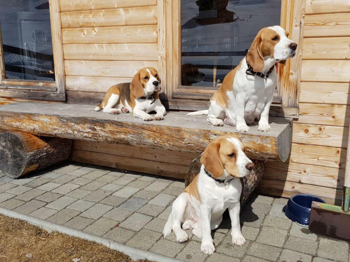 Sertig Ferienwohnung Davos Exterior foto